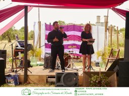 Festival Mar de Tethys 2026 - Bodega Vetas